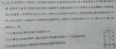 山东省潍坊市高三开学调研监测考试(2024.9)(物理)试卷答案