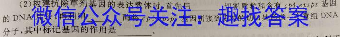 河南省2025届高三年级调研考试（9月）生物学试题答案