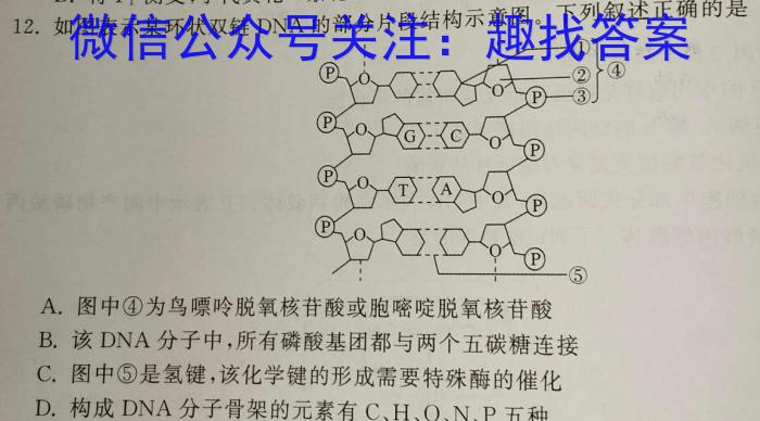 三晋卓越联盟河北省2023-2024学年高二期末质量检测卷(242957D)生物学试题答案