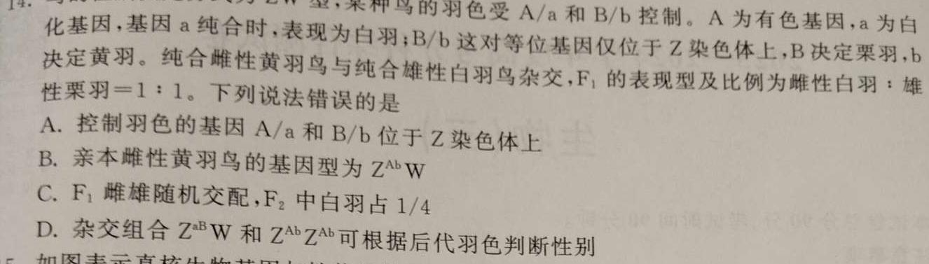 2024年全国普通高等学校招生统一考试·A区专用 JY高三冲刺卷(一)1生物学部分