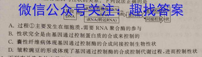 2024-2025学年第一学期浙江省高二年级名校协作体生物学试题答案