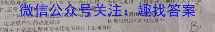 名校计划 2024年河北省中考适应性模拟检测(仿真二)q物理