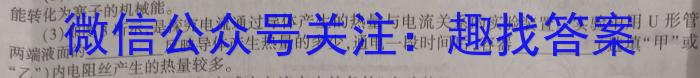 2024年浙江省"山海联盟"初中学业水平考试物理试卷答案