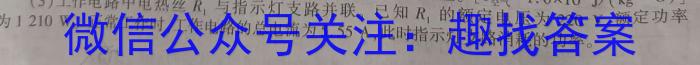 河北省2024年初三模拟演练（四）f物理