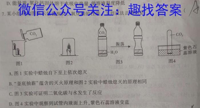 万维中考·2024年河北省初中毕业生升学文化课考试（黑卷）化学