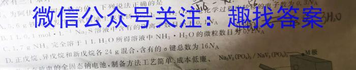 贵州省毕节市织金县2023-2024学年度第二学期八年级学业水平检测化学