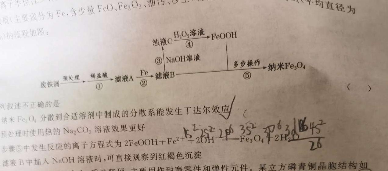 1广州市真光中学2025届高三开学质量检测(2024.08)化学试卷答案