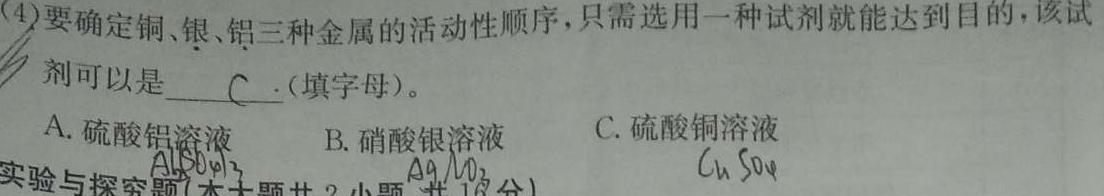 12024年陕西省初中学业水平考试仿真卷(3月)化学试卷答案