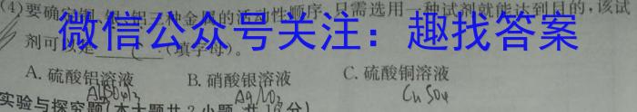 河南省驻马店市驿城区2024-2025学年八年级上学期第二次学情反馈化学