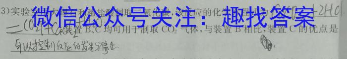 2024届陕西省高三联考(3.28)化学