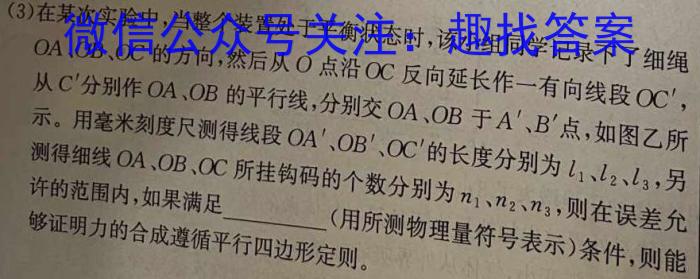 2024年安徽省七年级下学期教学质量调研（3月）h物理