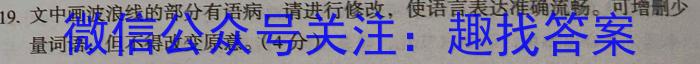 2024年陕西省初中学业水平考试(金卷)语文