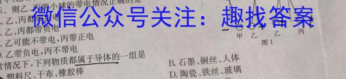 青桐鸣2024年普通高等学校招生全国统一考试 青桐鸣信息卷(一)物理