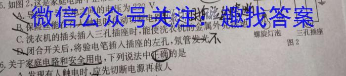 安徽省2025届高三第一学期开学质量检测（8月）物理试题答案