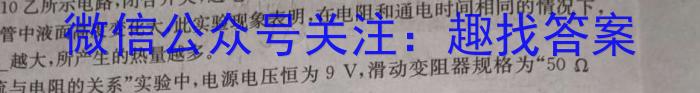 名校之约-2024河南省中招考试仿真冲刺试卷(A)物理试题答案