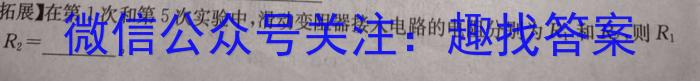 2024年陕西省初中学业水平考试(银卷)物理`