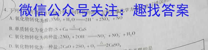 【精品】江西省2024年初中学业水平模拟考试模拟卷（六）化学