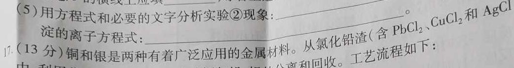 1安徽省六安市轻工中学2024年九年级下册第一阶段定时训练化学试卷答案