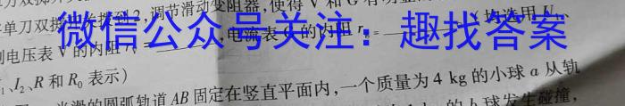 安徽省安庆四中2024年中考二模物理`