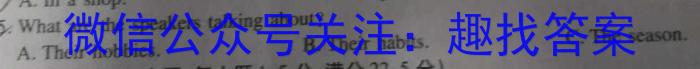 万唯中考 2024年安徽省初中学业水平考试 定心卷英语