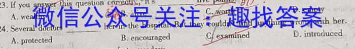 2024年安徽省中考学业水平检测·试卷(B)英语