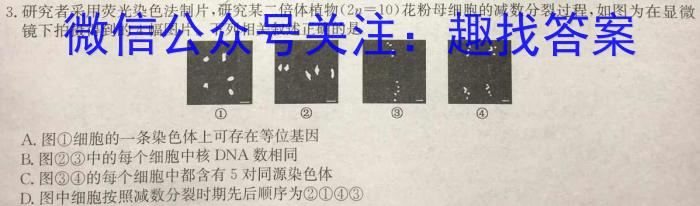 2024届衡水金卷先享题 信息卷(一)1生物学试题答案