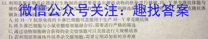 2024年河南省新高考信息卷(四)生物学试题答案