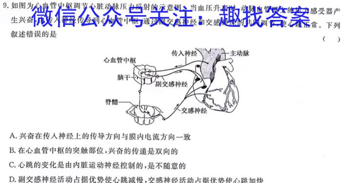 广东省2024年深圳市普通高中高二年级期末调研考试生物学试题答案