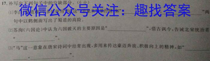 2024年安徽省普通高中学业水平选择性考试冲刺压轴卷(二)2/语文