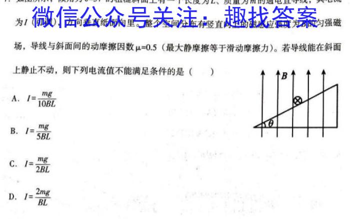 2023~2024学年度武汉市部分学校九年级调研考试2024.3.27物理`