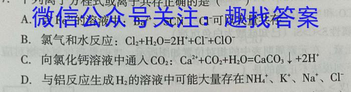 32024届河南省九第七届名校联盟考(24-CZ114c)化学试题