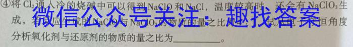 2024年陕西省九年级初中学业水平考试信息卷(B)化学