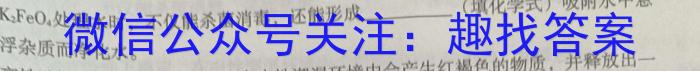 【精品】安徽省卓越县中联盟2024届高三5月联考化学