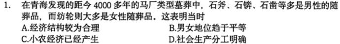 [今日更新]河南省唐河县2024年中考模拟试卷（一）历史试卷答案