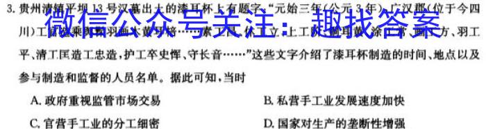 天一大联考 2023-2024学年高中毕业班阶段性测试(九)9历史