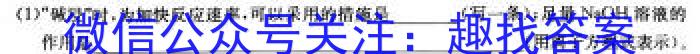 3金考卷2024年普通高等学校招生全国统一考试 全国卷 预测卷(九)9化学试题