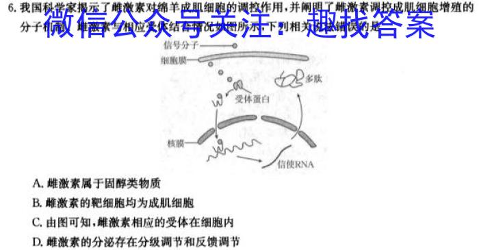 2024年广东省初中学业水平考试生物学试题答案