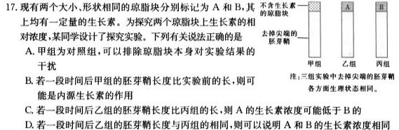 河南省新高中创新联盟TOP二十名校计划2024届高三2月联考生物学