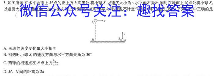 2024年河南省普通高中招生考试命题人卷h物理