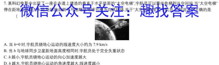 漯河市高级中学2024-2025学年高三上学期8月试题物理`