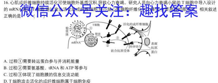 广西2024年春季学期高二校联体第二次联考生物学试题答案