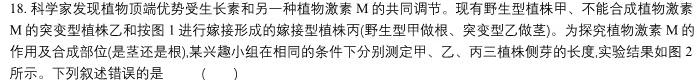 河南省周口市2024-2025学年第一学期九年级月考（二）生物