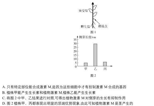 河南省2025届高三8月联考(25-13C)生物