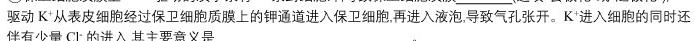 河北省L16联盟2024年普通高等学校招生全国统一考试模拟演练生物