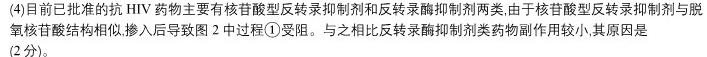 1号卷A10联盟2023级高二上学期9月初开学摸底考生物学部分