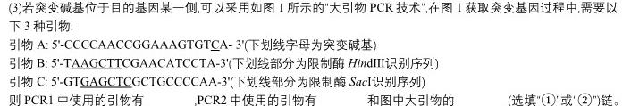 陕西省商洛市2024届高三第五次模拟检测(24-441C)生物学部分