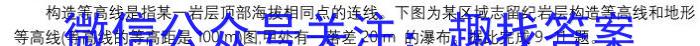 河南省2024年高三名校联考仿真模拟（9110C-H）政治1