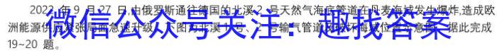 陕西师大附中2023-2024学年度初三年级第四次适应性训练地理试卷答案