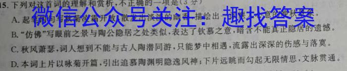 2024年安徽省九年级质量调研检测(三)3语文