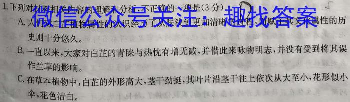 陕西教育联盟2024年高三质量检测卷(三)(243536D)/语文